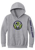 Hawks, YOUTH hoodie, Sport Gray (18500B)